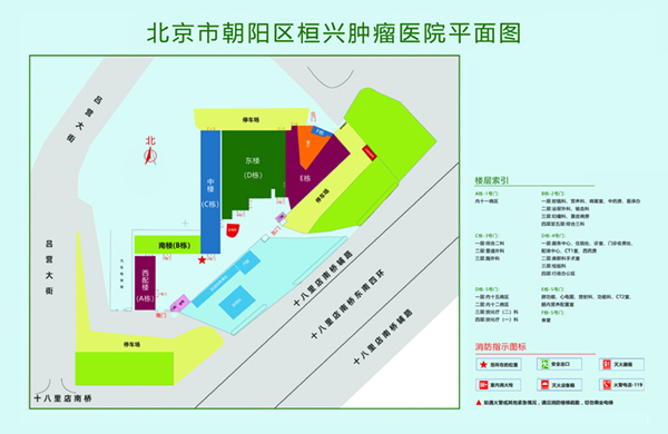 插鸡免费网站北京市朝阳区桓兴肿瘤医院平面图